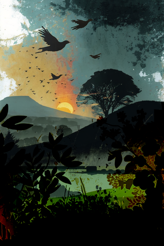 Summer birds 2024, Bannau Brycheiniog - art prints